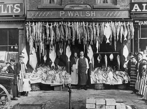 P. Walsh, Fishmonger and 'Oyster sales', early 1900’s P. Walsh, Fishmonger and 'Oyster sales', early 1900’s