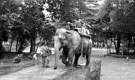 View: c00910 Chester: Elephant Ride at Chester Zoo 	