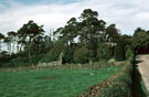 View: c01137 Buglawton: The Bridestones, a neolithic chambered tomb 	