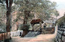 View: c01304 Rostherne: Lych Gate at St Mary's Church 	