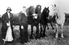 View: c02457 Poynton: Poynton Colliery, ponies