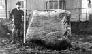 View: c02898 Runcorn: Granite Boulder 	