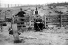 View: c02999 Burton: James Kemp and his sons at the sheepfold. 	