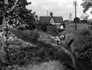 View: c03971 Barthomley: Thatched cottage	