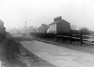 View: c04135 Widnes: Hale Road looking south 	