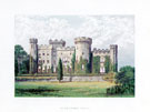 View: c04600 Cholmondeley: Print of Cholmondeley Castle	