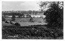 View: c04817 Staffordshire:Betley Mere	