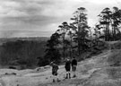 View: c04972 Cheshire: Alderley Edge 	