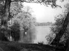 View: c04980 Poynton: Poynton Pool 	