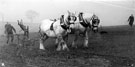 View: c05000 Cheshire: Adlington, Adlington YFC Ploughing Match 	