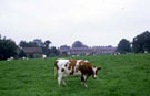 View: c07350 Styal: Town Field